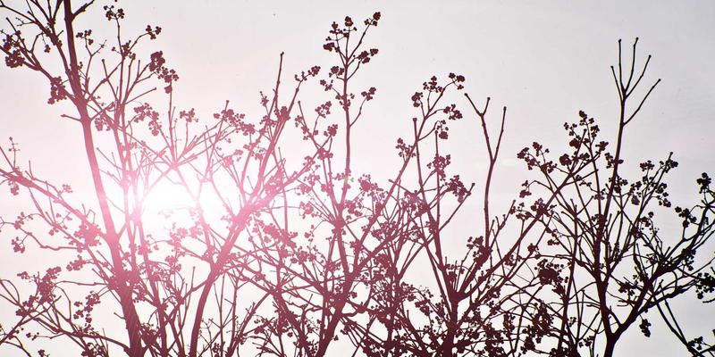 盐城地暖安装全攻略：从干湿法选择到建材避坑，一篇讲透本地装修关键点