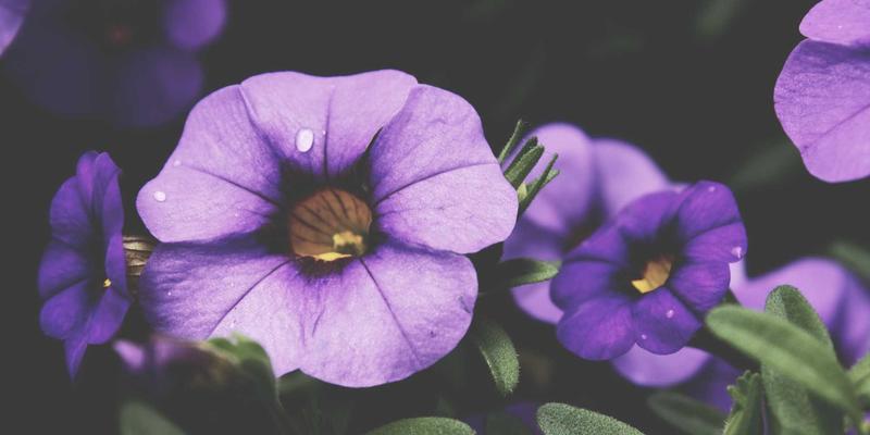 盐城墙面装修新浪潮：艺术涂料、微水泥、硅藻泥选购指南与成本全解析