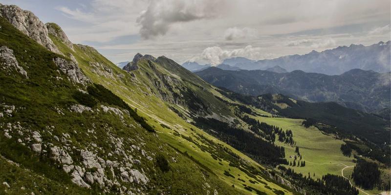 盐城墙面装修新选择：艺术涂料、硅藻泥、墙布墙咔的本地施工与维护全攻略