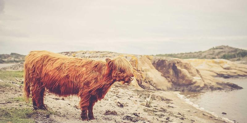 盐城家装水电改造全攻略：从电线水管品牌选择到隐蔽工程验收，一篇读懂建材选购与施工标准