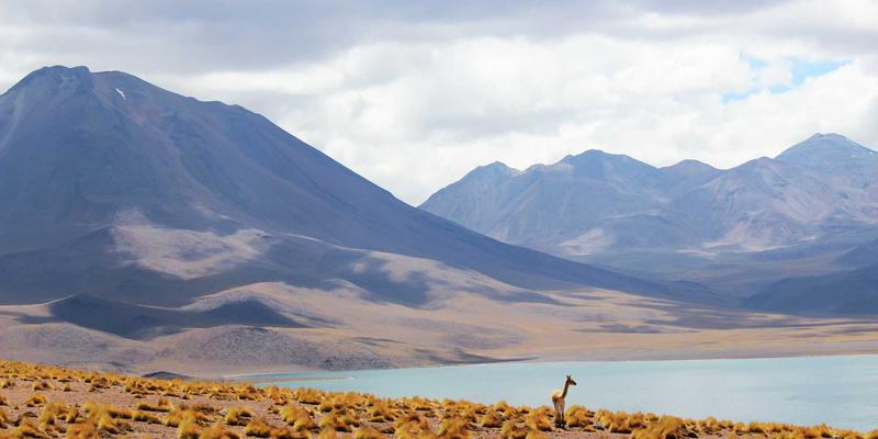 盐城装修吊顶材料怎么选？深度解析石膏板、铝扣板、集成吊顶的本地市场优劣与选购指南