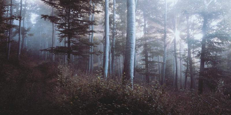 盐城装修必看！2024年防水材料十大品牌权威排行榜，选对建材省心十年